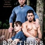 Brothers 3: Blood Brothers