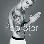 Pop Star: A Gay XXX Parody