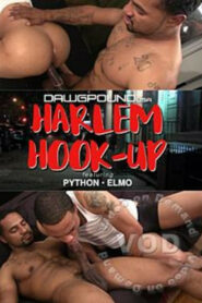 Harlem Hook-Up